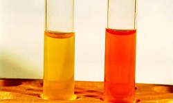 Methyl Red Test, MR